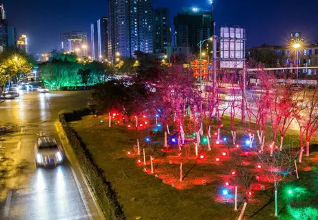 南充市政亮化樱桃在线视频观看製作施工安裝