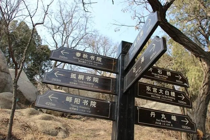 成都廣告樱桃在线视频观看標識牌廣告製造的材料
